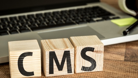 Image of blocks that read CMS in front of a laptop